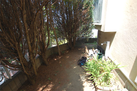 横浜市 O様邸 生垣 施工前