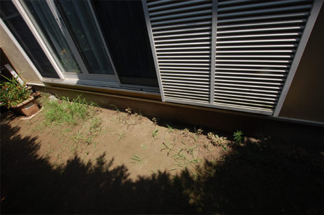 横浜市 O様邸 庭 施工前