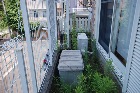 横浜市 O様邸 家周り西側 施工前