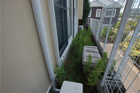 横浜市 O様邸 家周り西側 施工前