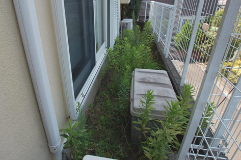 横浜市 O様邸 家周り西側 施工前