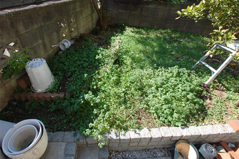 横浜市 O様邸 庭 雑草 施工前