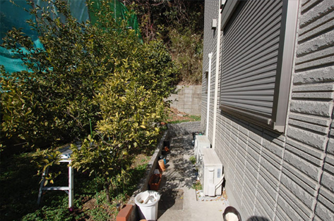 横浜市 O様邸 庭木 施工前