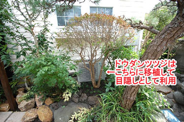 神奈川県藤沢市Y様 庭リフォーム 石張り(石貼り)、植栽目隠し施工事例