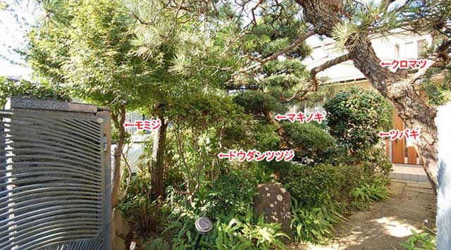 神奈川県藤沢市Y様 庭リフォーム 石張り(石貼り)、植栽目隠し施工事例