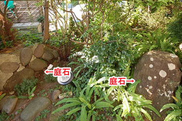 神奈川県藤沢市Y様 庭リフォーム 石張り(石貼り)、植栽目隠し施工事例