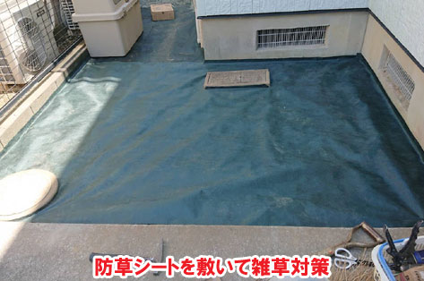 柵と石張りでペットの犬と猫が自由に遊べる庭へリフォーム~横浜市K様ジェラストーン、アルミフェンス事例