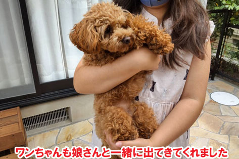 柵と石張りでペットの犬と猫が自由に遊べる庭へリフォーム~横浜市K様ジェラストーン、アルミフェンス事例