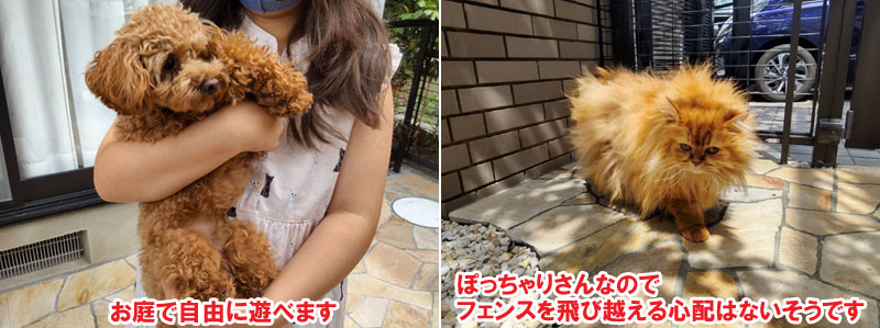 ワンちゃんも猫ちゃんもお庭で自由に過ごせます　犬と猫が自由に遊べる洋風ガーデン/犬の飛び出し防止ウッドフェンス/柵のお庭施工事例～ペットの庭 神奈川県,鎌倉市,横浜市,川崎市,相模原市,藤沢市,茅ヶ崎市,厚木市,大和市,海老名市,小田原市,二宮町,大磯町,寒川町,平塚市