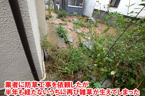 業者に防草工事を依頼したが、半年も経たないうちに再び雑草が生えてしまった～横浜市 ノーメンテナンスの防草シート・砂利敷き雑草対策工事 実家の空き家 無人・誰も住んでいない空き家のお庭のおすすめ管理法