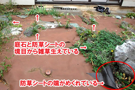 庭石と防草シートの境目から雑草がたくさん生えています／防草シートの端がめくれています～横浜市 ノーメンテナンスの防草シート・砂利敷き雑草対策工事 実家の空き家 無人・誰も住んでいない空き家のお庭のおすすめ管理法