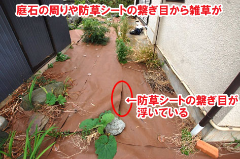 庭石の周りや防草シートの繋ぎ目から雑草が／防草シートの繋ぎ目が浮いている～横浜市 ノーメンテナンスの防草シート・砂利敷き雑草対策工事 実家の空き家 無人・誰も住んでいない空き家のお庭のおすすめ管理法