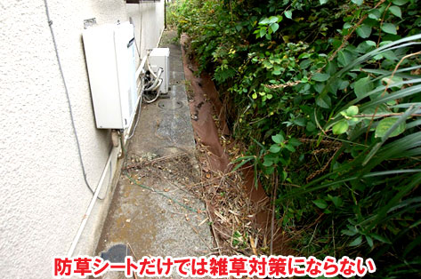 防草シートだけでは雑草対策にならない～横浜市 ノーメンテナンスの防草シート・砂利敷き雑草対策工事 実家の空き家 無人・誰も住んでいない空き家のお庭のおすすめ管理法