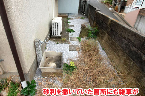 砂利を撒いていた箇所にも雑草が～横浜市 ノーメンテナンスの防草シート・砂利敷き雑草対策工事 実家の空き家 無人・誰も住んでいない空き家のお庭のおすすめ管理法
