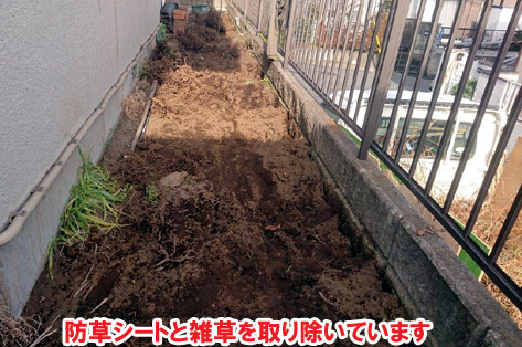 防草シートと雑草を取り除いています～横浜市 ノーメンテナンスの防草シート・砂利敷き雑草対策工事 実家の空き家 無人・誰も住んでいない空き家のお庭のおすすめ管理法