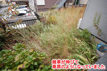 神奈川県 横浜市 タイル貼り 雑草対策 植栽目隠し施工事例