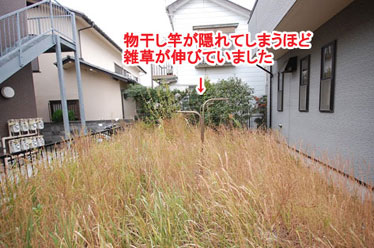 神奈川県 横浜市 タイル貼り 雑草対策 植栽目隠し施工事例