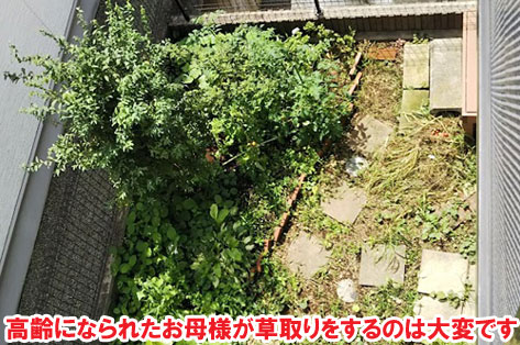 神奈川県 横浜市  土の庭をどうにかしたい　砂利の庭をおしゃれに