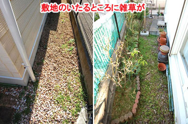 神奈川県 横浜市 庭 収納 物置の施工事例