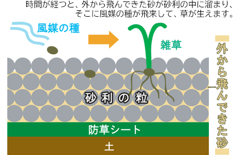 風媒の種が飛んで来て草が生える事があります／草が生えない実家の庭 人工芝とタイルの別荘兼アトリエのお庭～神奈川県秦野市施工事例　別荘,アトリエ,別荘の庭,人工芝,タイル張り,実家の庭