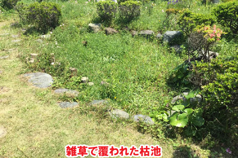 広すぎる庭をコンクリートで管理しやすい庭に~神奈川県横須賀市事例