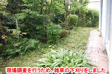 神奈川県 横浜市 栄区 雑草対策 レンガ貼り(レンガ張り) シロアリ消毒施工事例