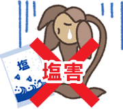 重曹で雑草対策を行うデメリット 1. 塩害リスクがある