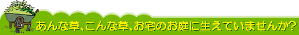あんな草、こんな草、お宅のお庭に生えていませんか? 雑草対策・雑草除去はグリーンパトロール