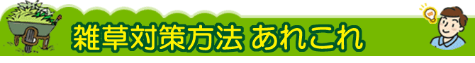 雑草対策 あれこれ 草取り業者に依頼するよりおすすめ　雑草対策 防草対策はグリーンパトロール