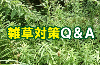 その他の雑草対策Ｑ＆Ａ